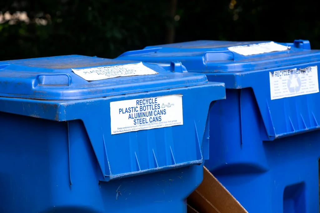 Recycling bins 