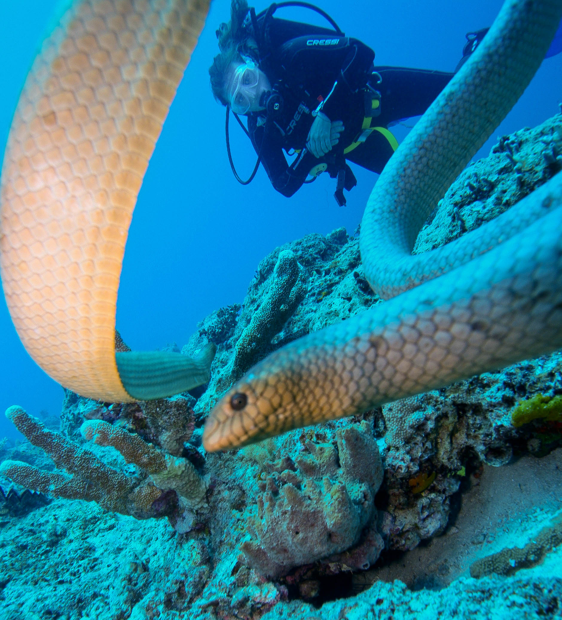 595f9ba0249a6-IMG_8258