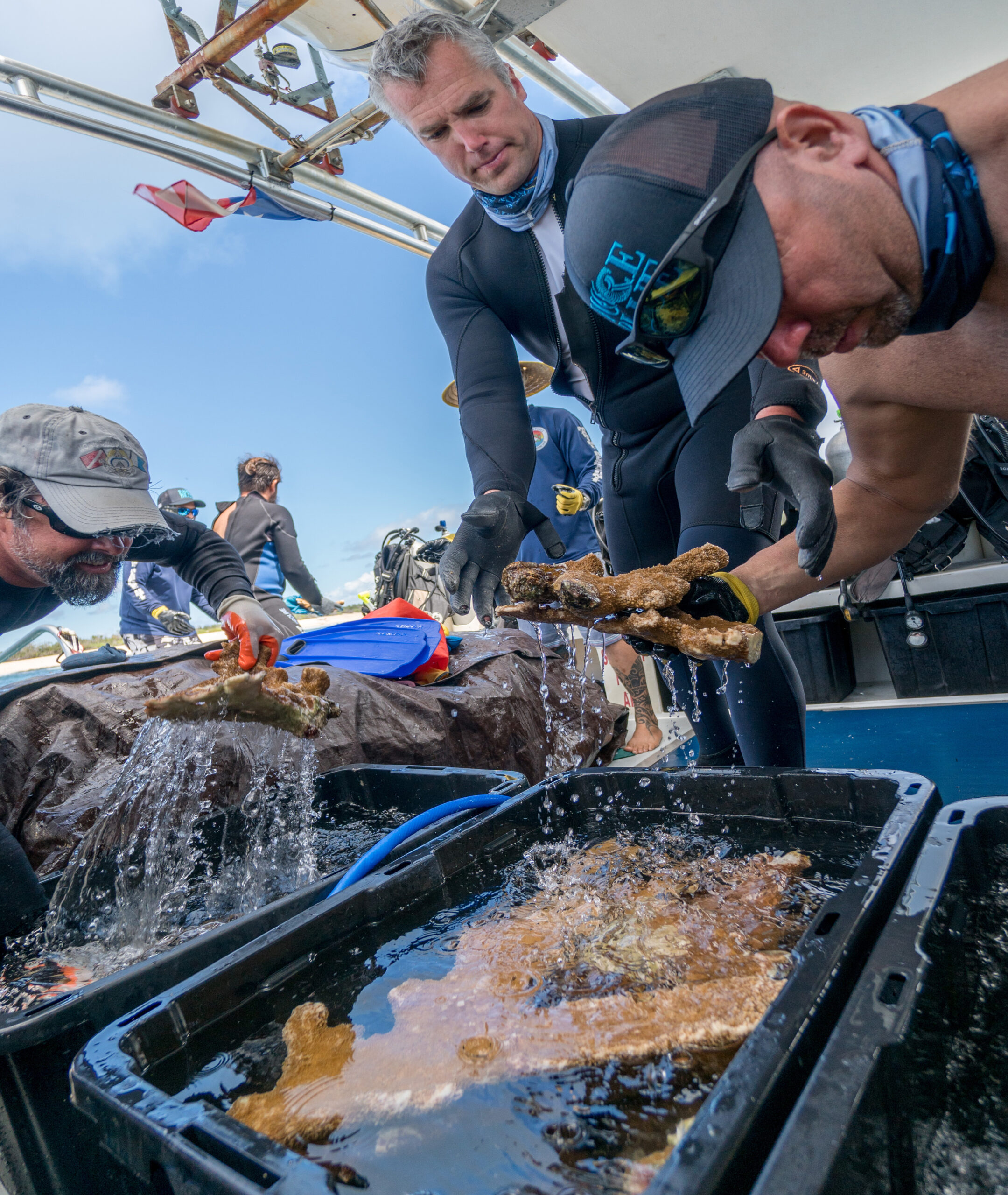 20- Please credit @Jim Hellemn, forceblueteam.org