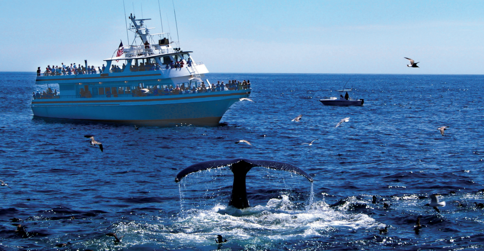 Screen Shot 2018-09-25 at 2.39.05 PM