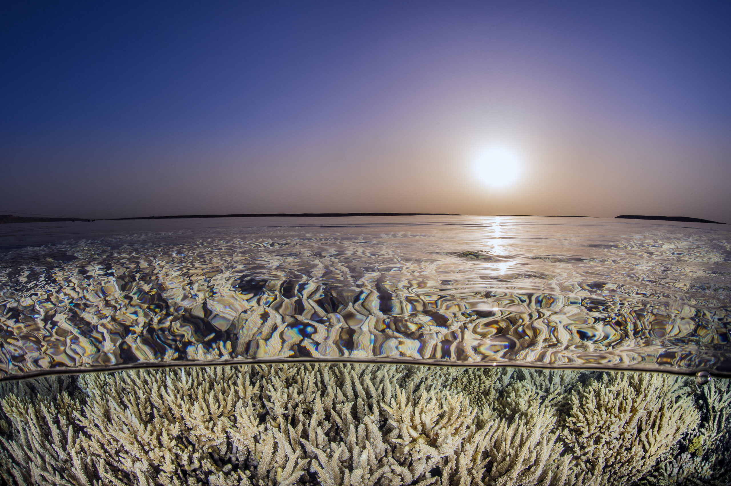 Coral Sunset. Egypt