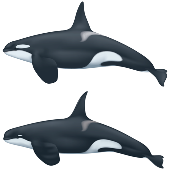 Illustrations by Uko Gorter