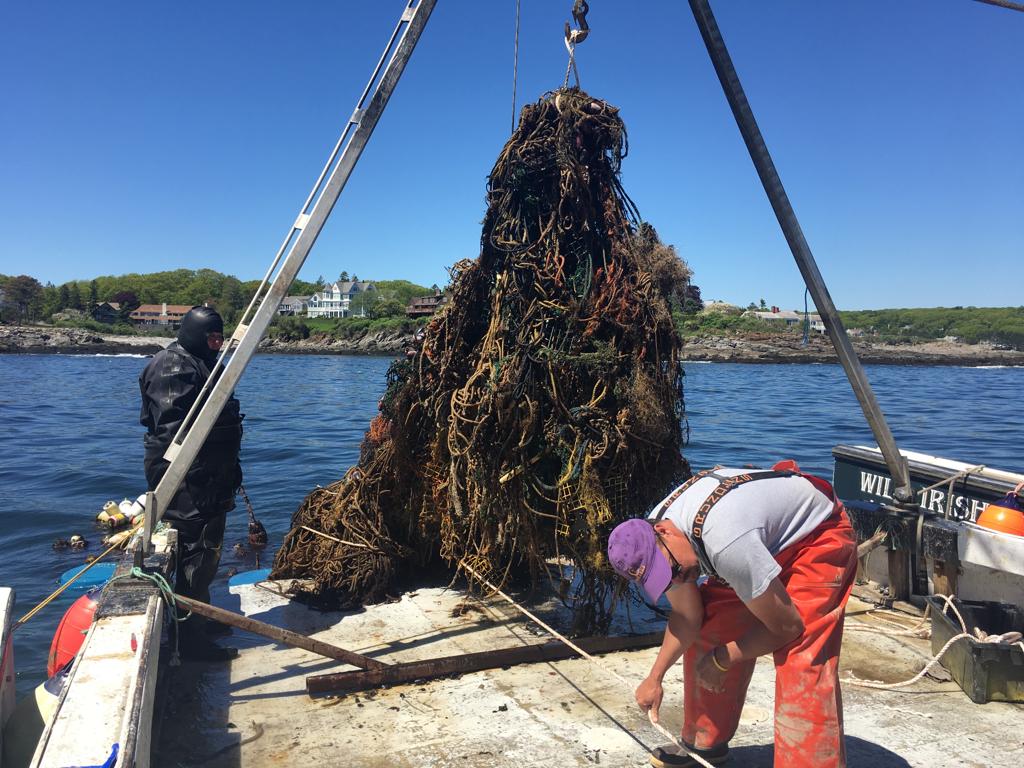 WhatsApp Image 2019-06-07 at 11.31.00 AM