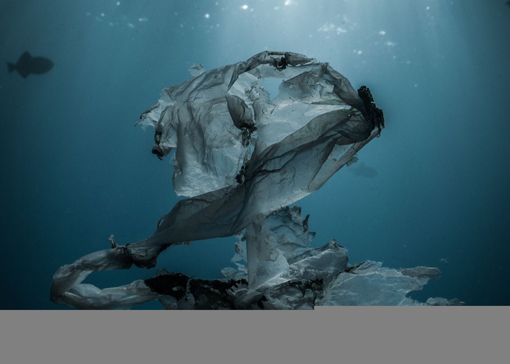 Photograph of a plastic bag disintegrating in the ocean