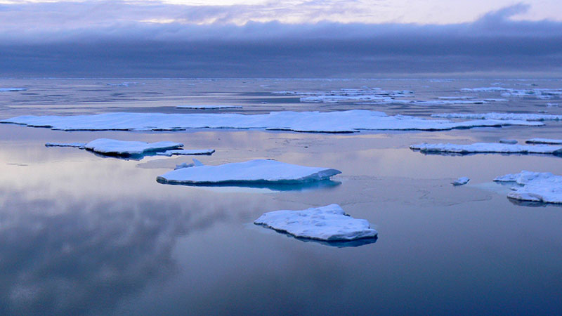 Melting sea ice. The Arctic is warming twice as fast as the rest of the world. In recent years, Arctic wildlife and peoples have faced rapid and dramatic impacts related to global climate change.
