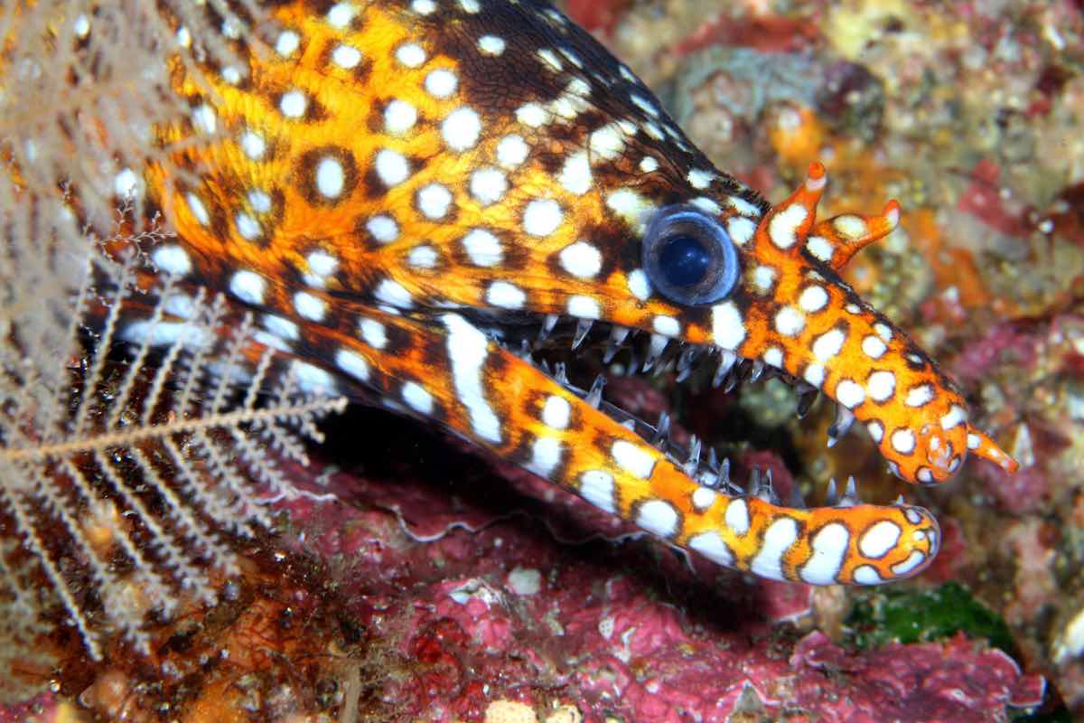 3894864669_fd781e7ed3_ksm