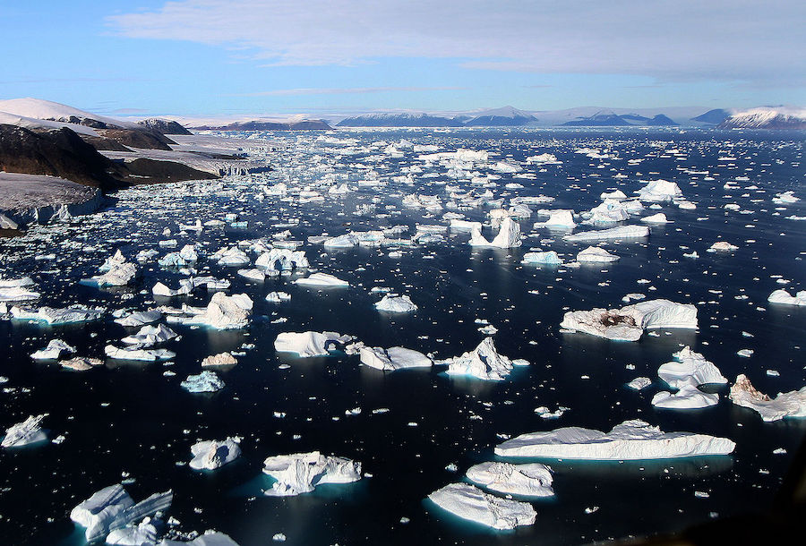 Icebergs float in the water