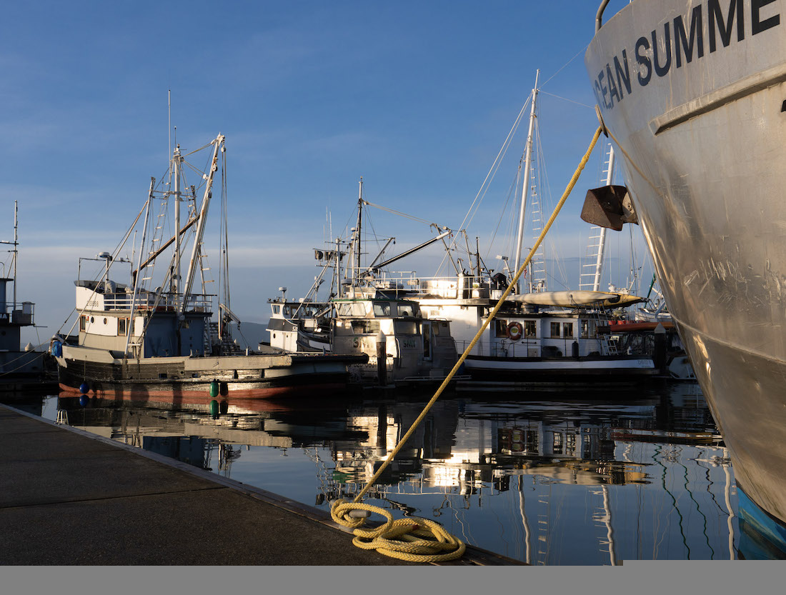 Fishing boats sit at the dock