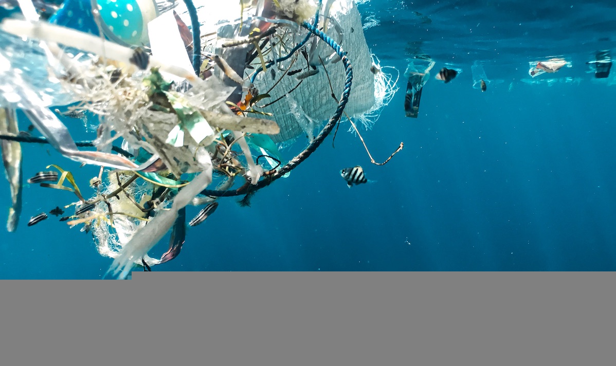 Microplastics in the ocean near a fish