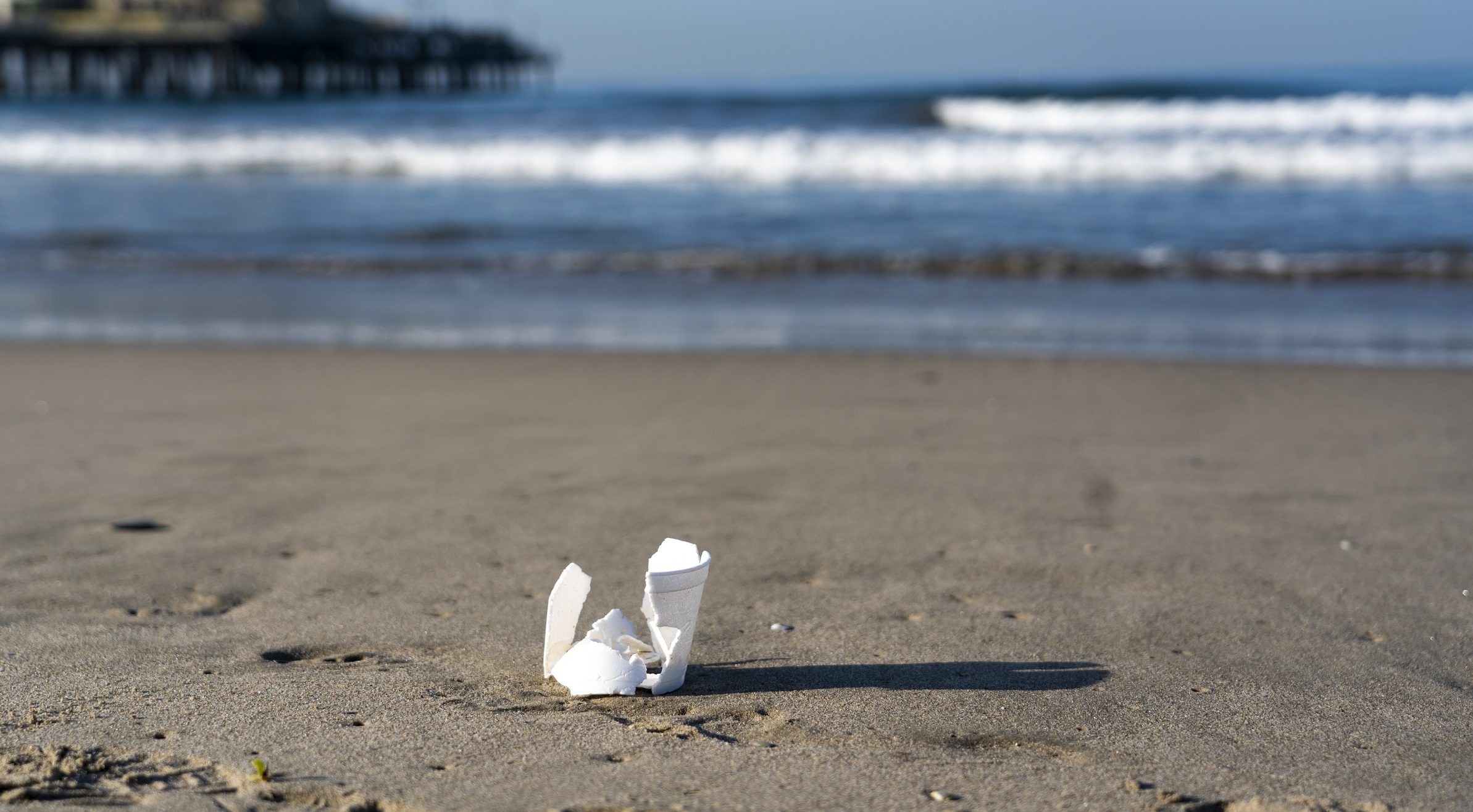 Plastic foam cup washed up on beach