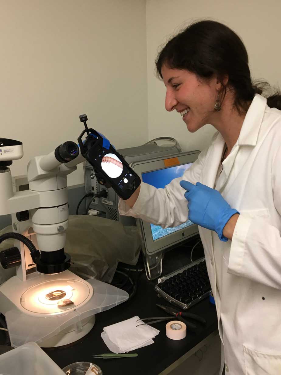 Anja Brandon is smiling and wears a white lab coat and blue gloves, while looking into a microscope with mealworms.