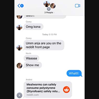 A screenshot of a text thread between author, Anja Brandon and two friends, reacting to her research being covered on Reddit.