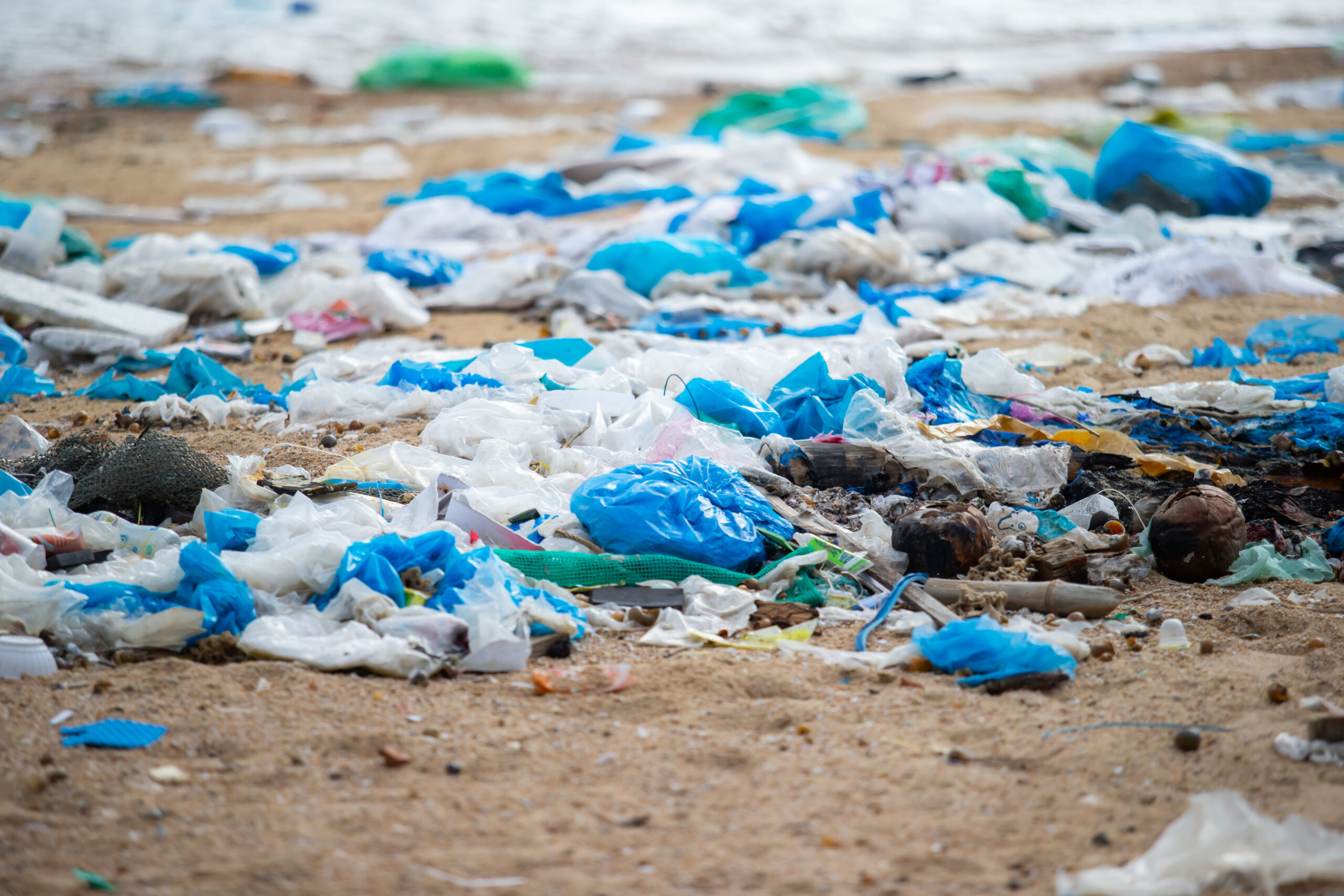 Photo credit: GreenHub. Difficult-to-recycle plastics like plastic bags are a scourge for our ocean and chemical recycling is not the solution.