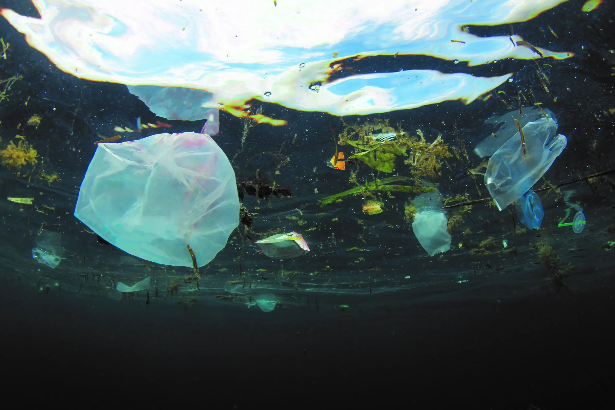 Bits of plastic floating under water