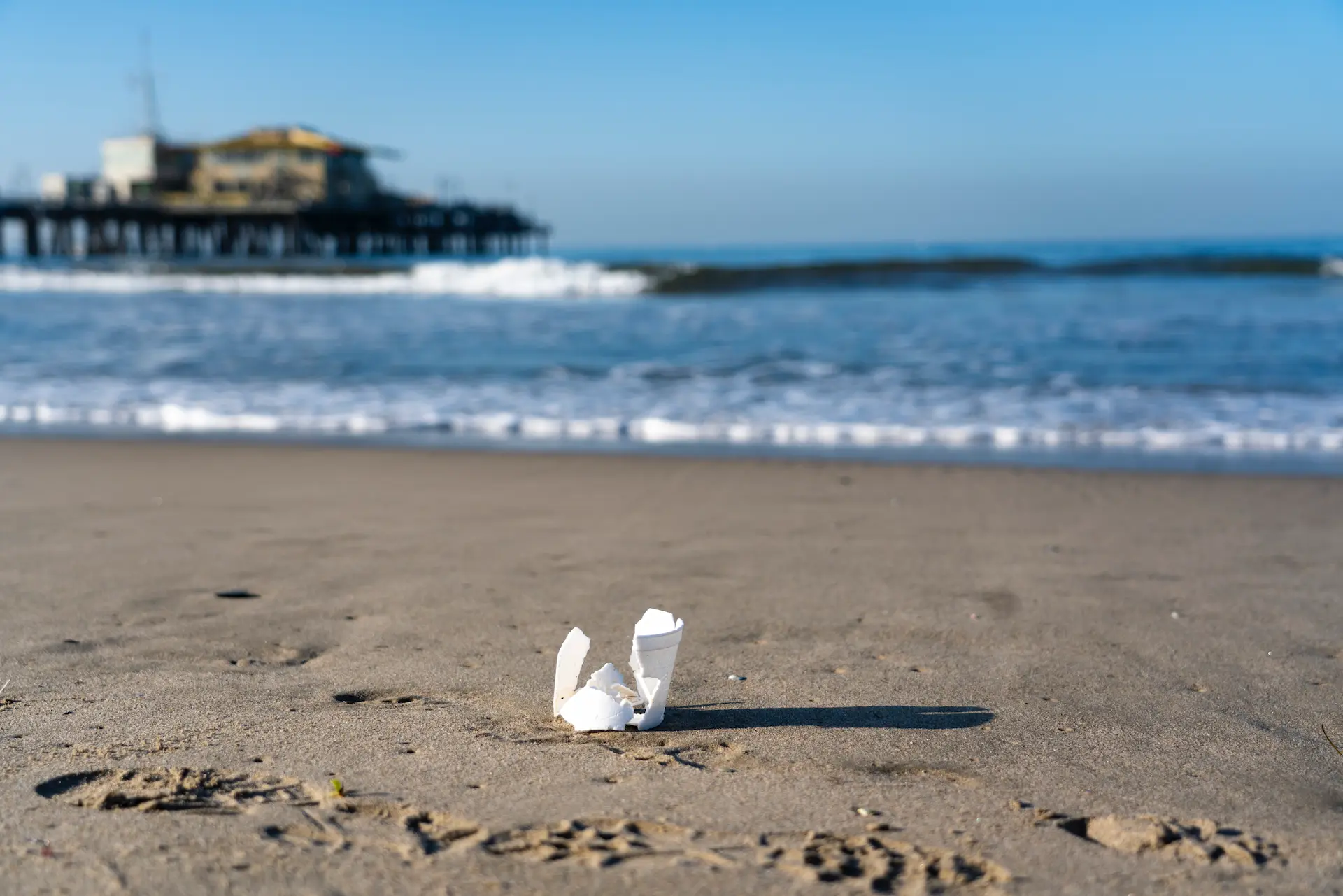 A plastic foam cup sits on the sand of a beach