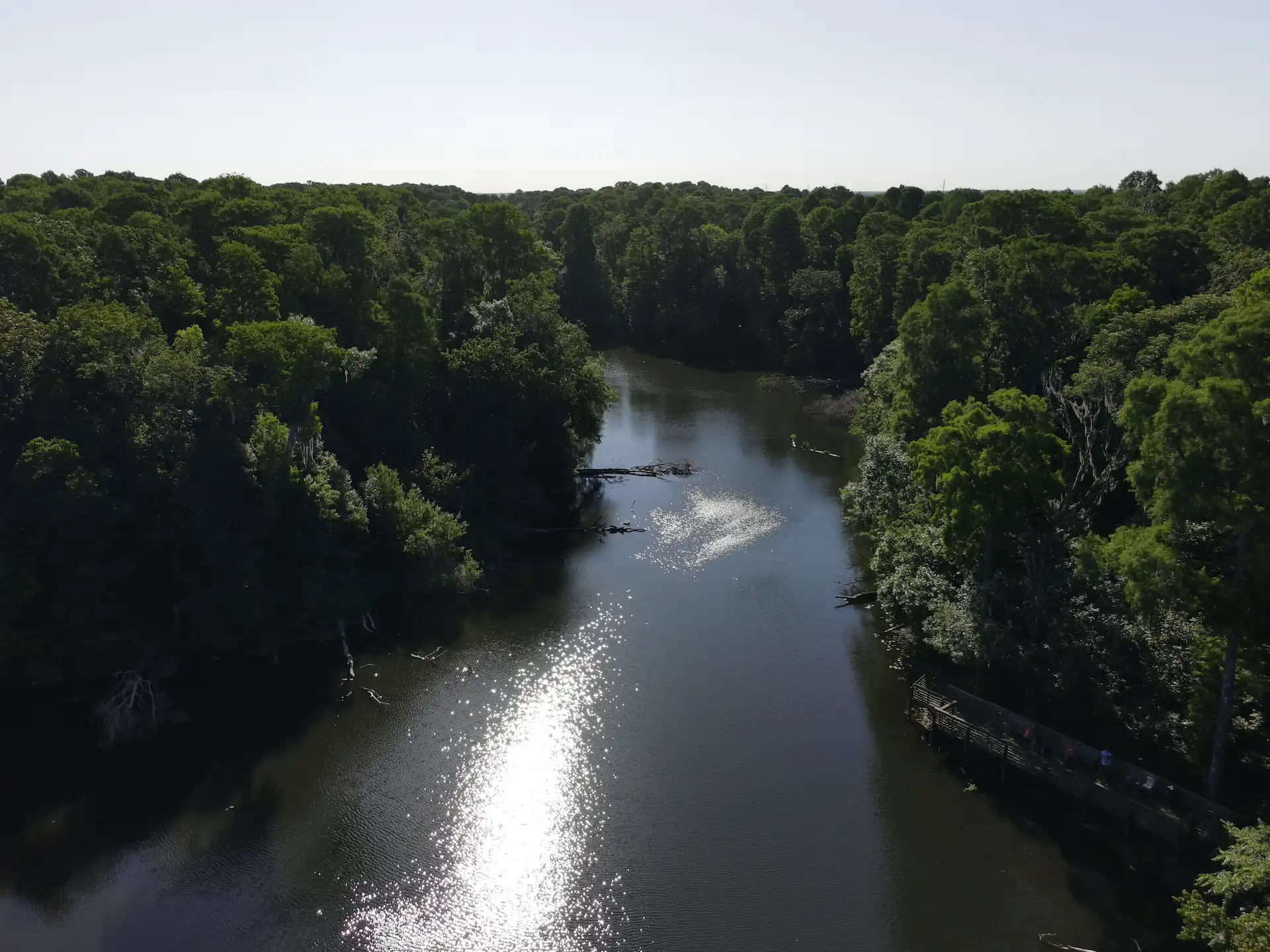 Tampa waterway Nutrient fingerprinting