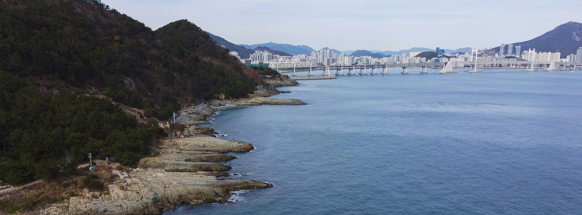 Busan coast planetary crisis