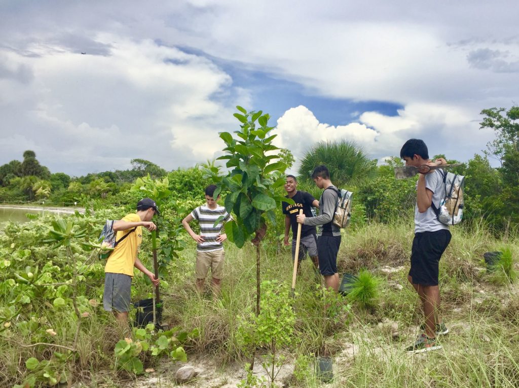 Volunteers work on Dune Restoration Project and beach cleanup at Oleta State Park in Miami