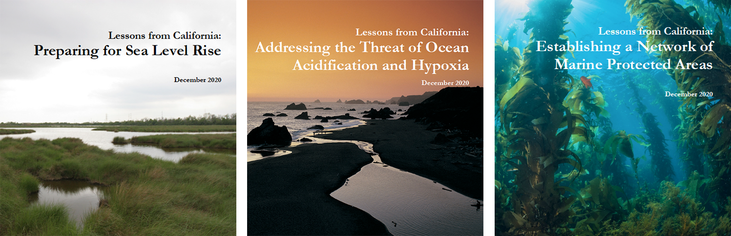Lessons from California: Mitigation, Adaptation, and Climate Finance reports