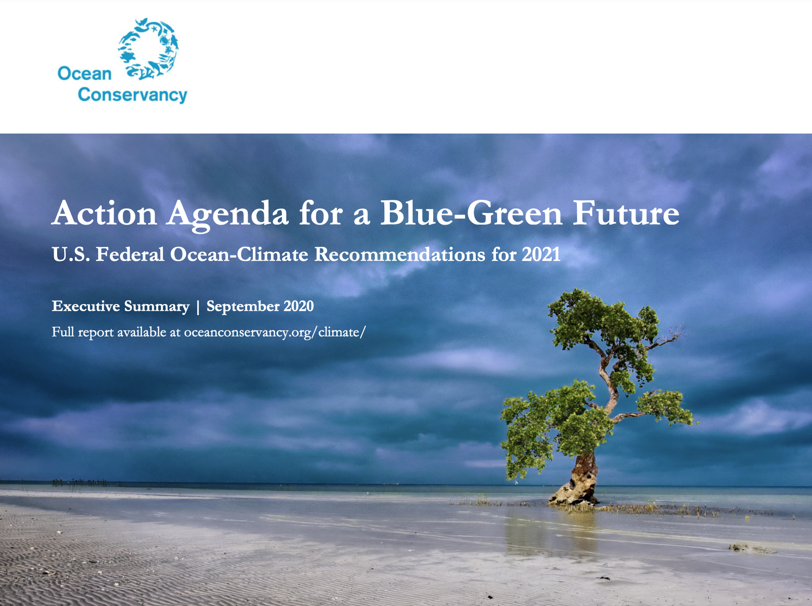 Executive Summary: Action Agenda for a Blue-Green Future report cover