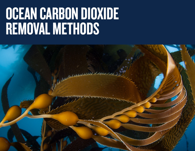 Ocean Carbon Dioxide Removal Methods report cover