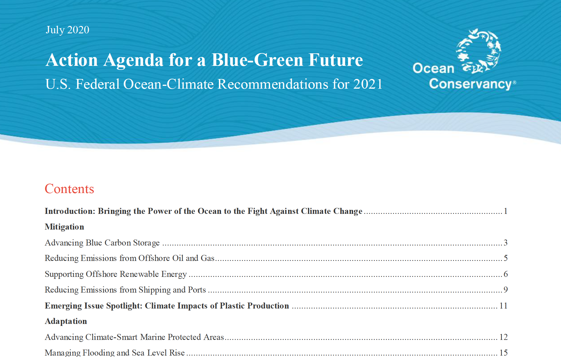 Action Agenda for a Blue-Green Future report